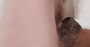 You Fought, You Lost, You Sucked, She Laughed