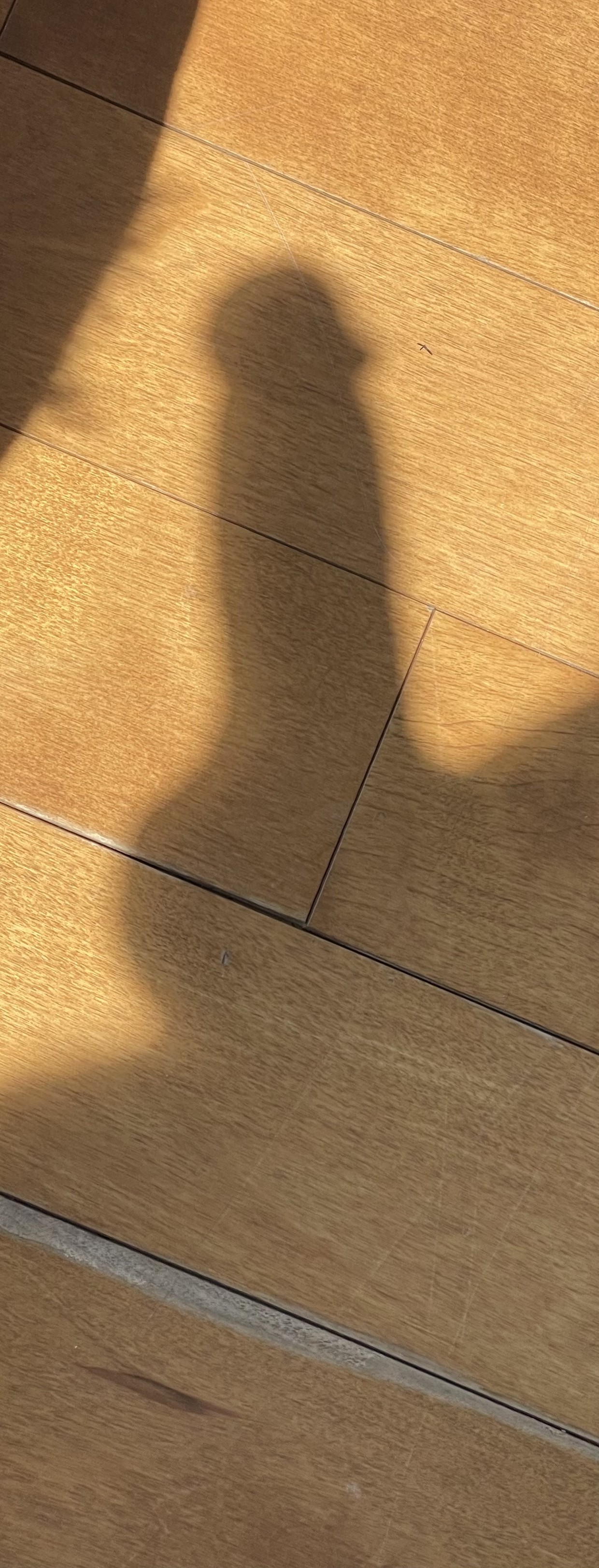 Big cock reflection
