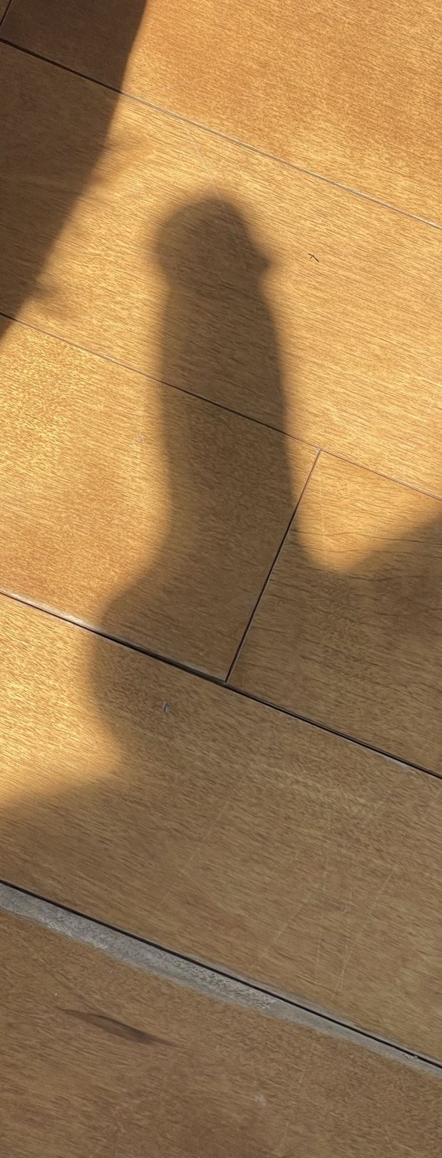 Big cock reflection