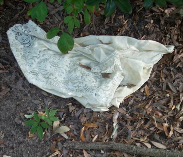 Another of Patty's Discarded Slips