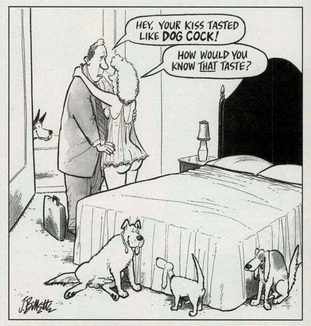 Happy Pets