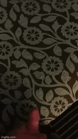 cum shot on hotel bed