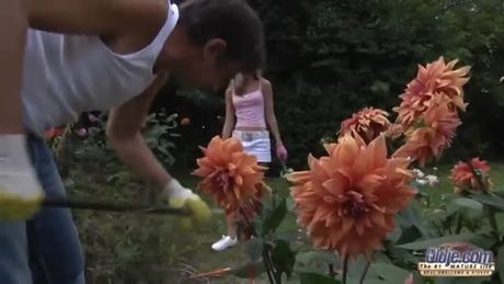 Gina gerson sex garden