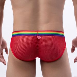 Sexy résille creux maille string caleçon arc-en-ciel ceinture sous-vêtements culottes hommes G-String Lingerie slips