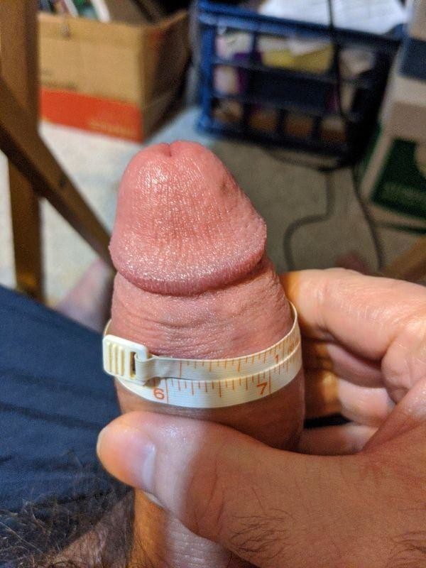 The bulge