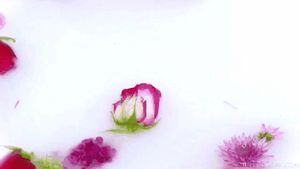 Lana Rhoades - Anal Savages #3 - 001