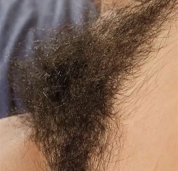 bush
