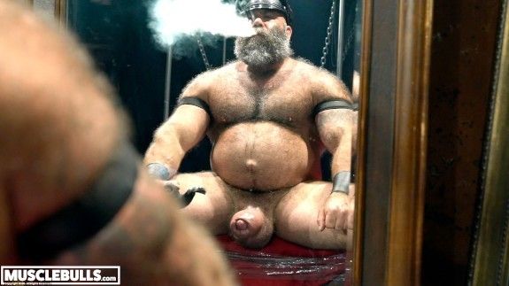 Hairy musclegut daddy smoking with pumped cock
