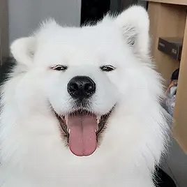 Cute