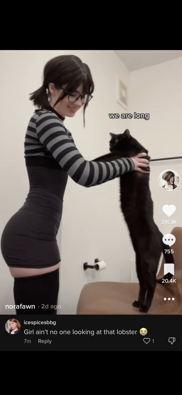 Pawg - 463738