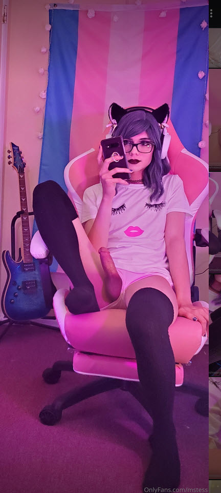 MsTess