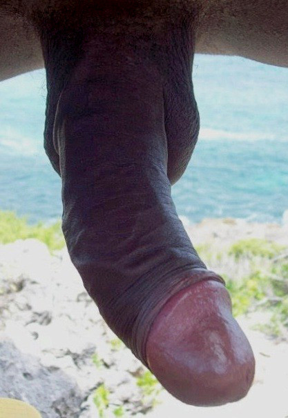 Positioned on all fours, I looked over my shoulder