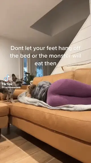 @faithhmarone #4