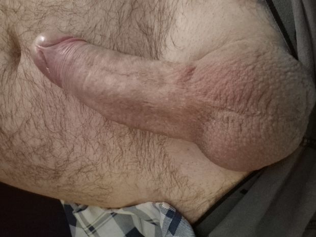 My hard cock in the morning