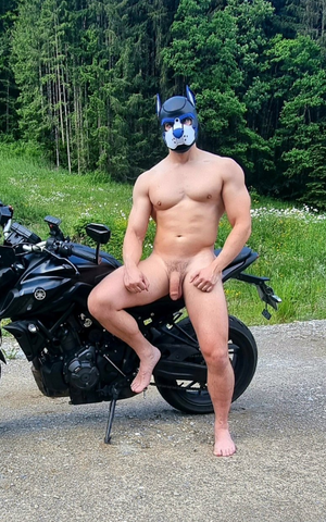 I'll ride you anywhere