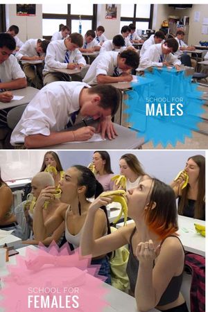 lets educate them the right things