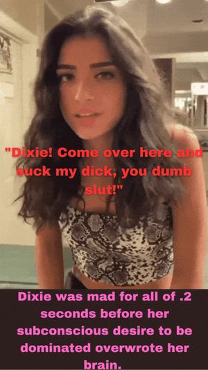 Dixie D'Amelio let her instincts take over and blew the catcalling "fan". (Disclaimer: don't catcall/be misogynistic irl)