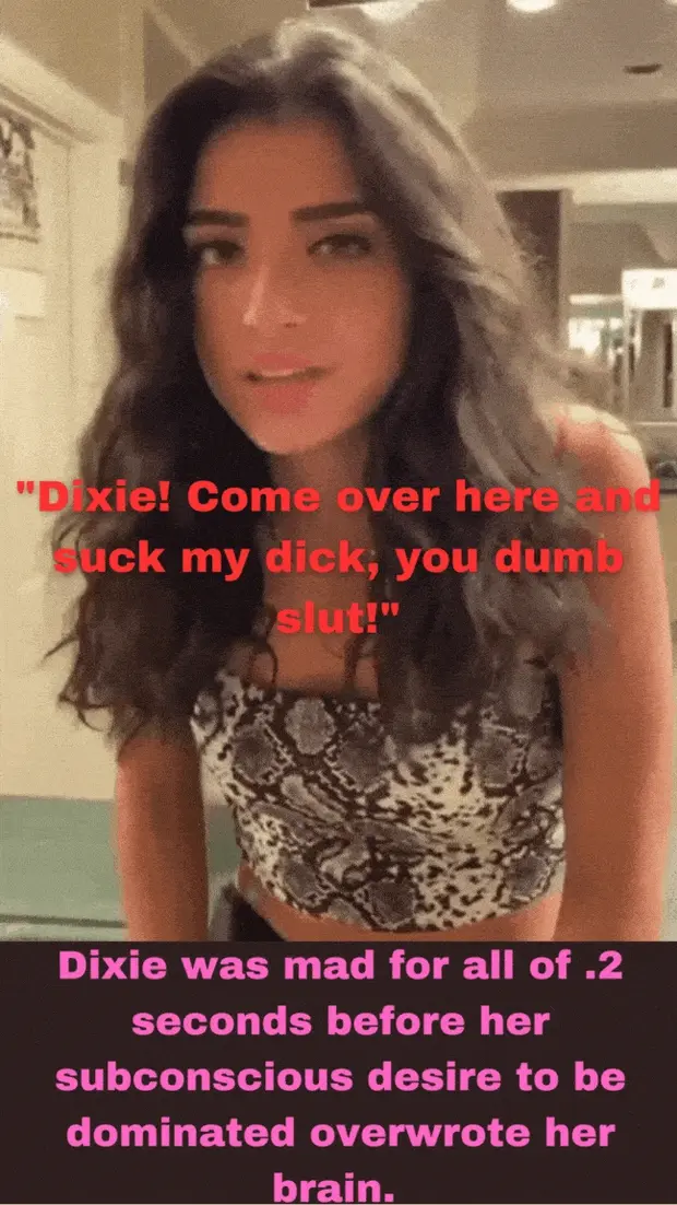 Dixie D'Amelio let her instincts take over and blew the catcalling "fan". (Disclaimer: don't catcall/be misogynistic irl)