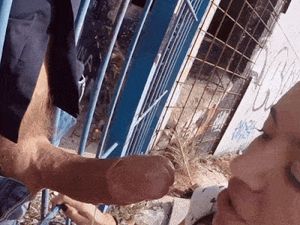 Franceska Jaimes enjoying a snack (Bangbros)