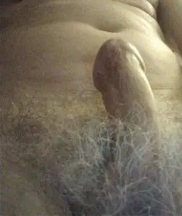 " I get it - its my hard stomach you like. At least your'e hairy and I'm ready to rub stomachs".