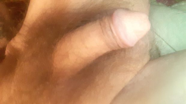 Cock head shot 2