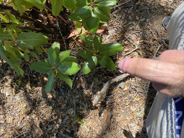 Cumming on leaves