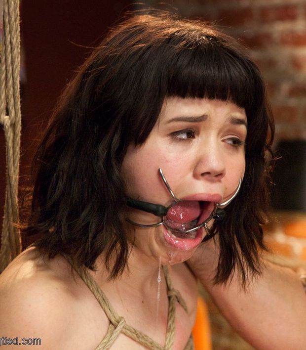 spider gag
