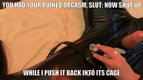 No need to hear your complaints