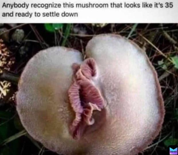 Millennial meme loose pussy