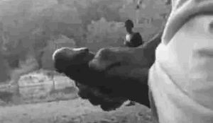 She can’t believe what she is seeing…