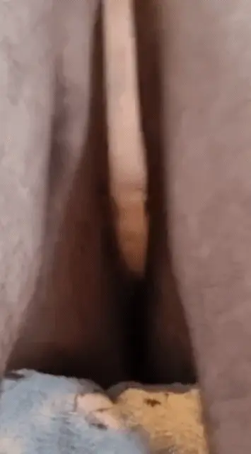 man pussy
