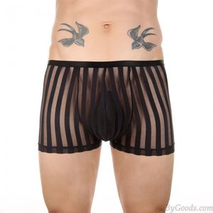 Sexy voir à travers rayé maille Boxer slips sous-vêtements élastiques Crossdress respirant Sissy Lingerie hommes Slip