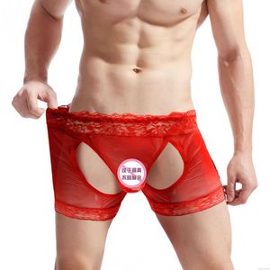 Sexy creux dentelle maille Boxer Crossdress respirant hommes caleçons ceinture lutte Sissy Lingerie Sous-vêtement Slips