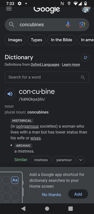 Concubines are women of lower standards but they had sex with every man usually 100.00$ dollars