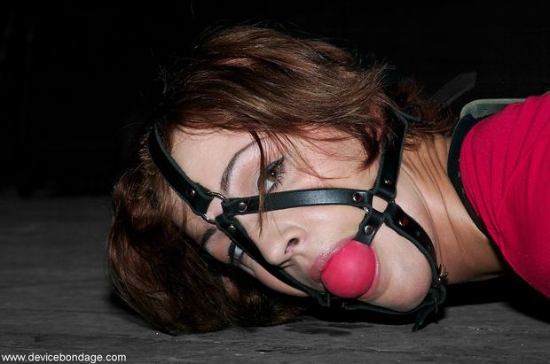 Harness Ballgag. So certain of a message.