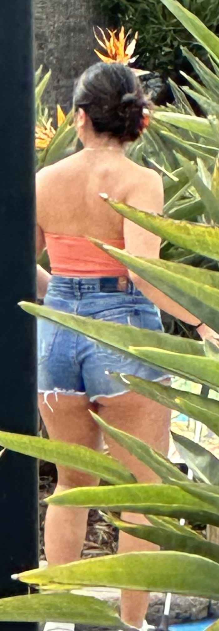 Fine asses out and about