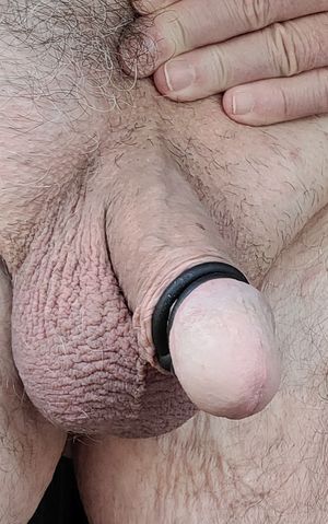 Double cock rings showing