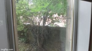 Too windy for play outside today