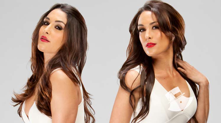CELBS TWINS SISTERS BRIE & NIKKI BELLA PIC!