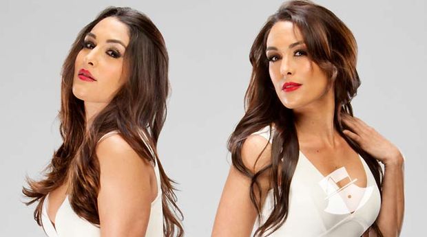 CELBS TWINS SISTERS BRIE & NIKKI BELLA PIC!