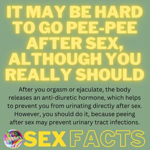 pee after sex