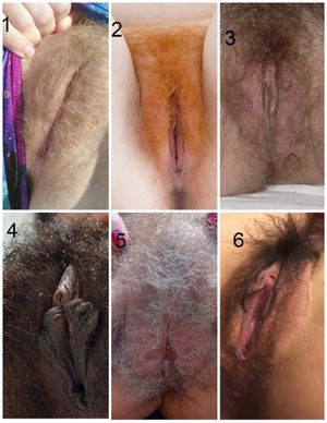 which one is your favorite