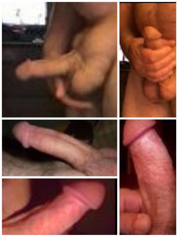 Collage of my cock.