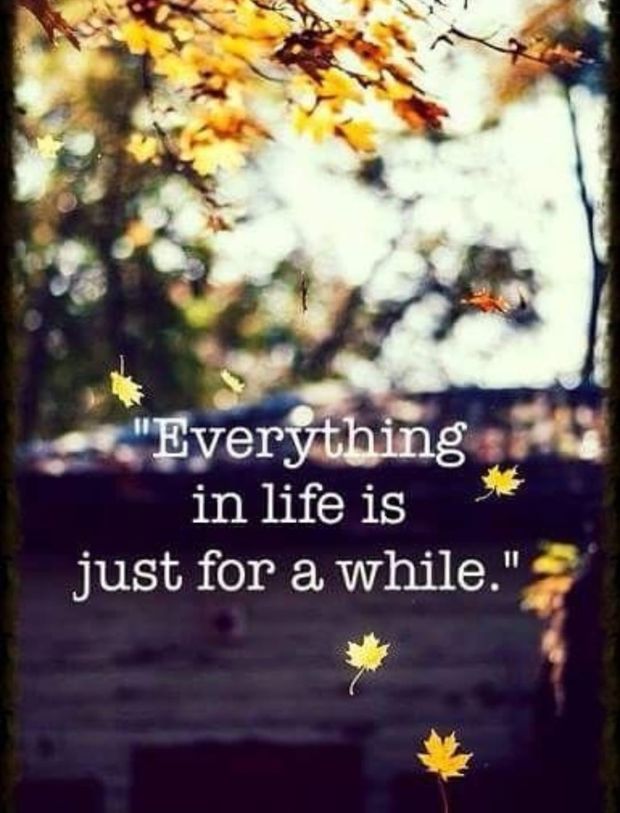 True