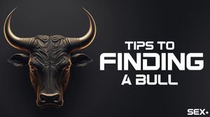 Banner I made for SEX+