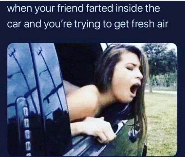 Public sex meme