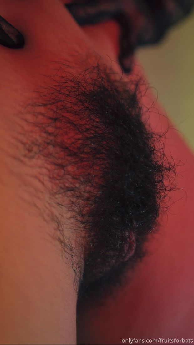 dark bush