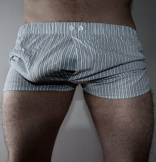 Boxer bulge