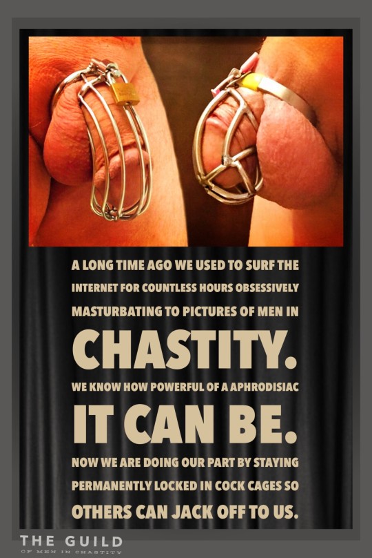 chastity programme