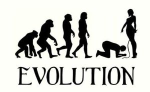 EVOLUTION